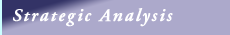 Strategic Analysis